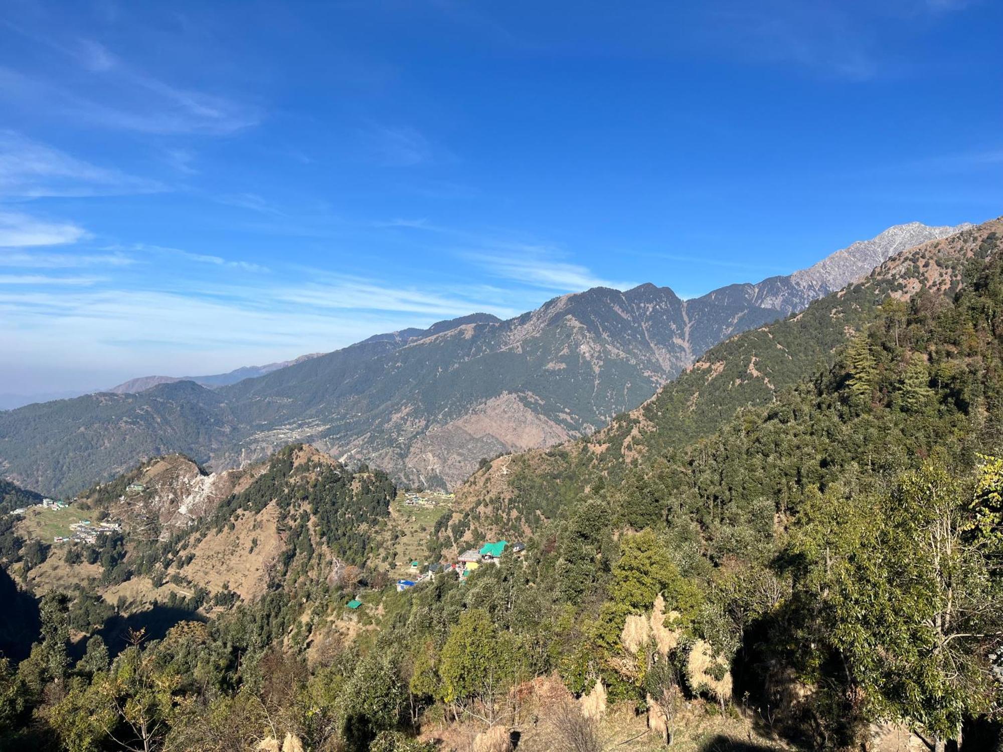 Pine Cottage McLeod Ganj Exteriör bild